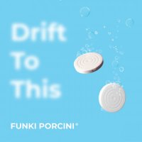 Funki Porcini - Drift to This (2021) MP3