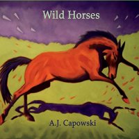 A.J. Capowski - Wild Horses (2021) MP3