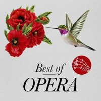 VA - Best of Opera (2021) MP3