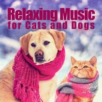 Relaxing Music for Cats and Dogs (2021) MP3