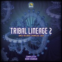 VA - Tribal Lineage 2 (2020) MP3