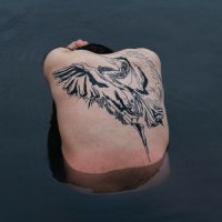 Jodi - Blue Heron (2021) MP3