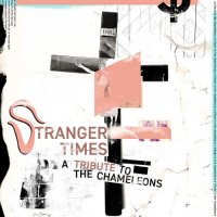 VA - Stranger Times [A Tribute to The Chameleons] (2021) MP3