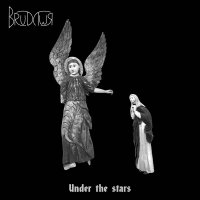 Brudywr - Under The Stars (2021) MP3