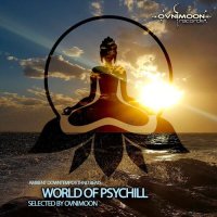 VA - World Of Psychill (2021) MP3