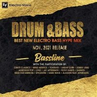 VA - D&B: Best New Electro Bass Hype Mix (2021) MP3