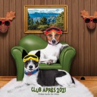VA - Club Apr&#234;s 2021: Chilled Apr&#234;s Ski Vibes [Club Apres 2021: Chilled Apres Ski Vibes] (2021) MP3