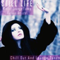 VA - Still Life - Winter Lounge Tunes (2021) MP3