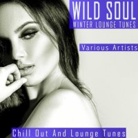 VA - Wild Soul - Winter Lounge Tunes (2021) MP3