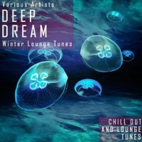VA - Deep Dream - Winter Lounge Tunes (2021) MP3