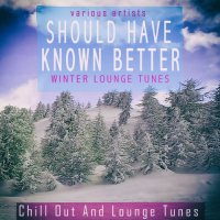 VA - Should Have Known Better - Winter Lounge Tunes (2021) MP3