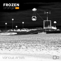 VA - Frozen Orange (2021) MP3