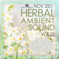 VA - Herbal Ambient Sound [Vol.02] (2021) MP3