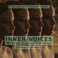 VA - Inner Voices - Winter Lounge Tunes (2021) MP3