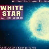 VA - White Star - Winter Lounge Tunes (2021) MP3