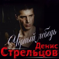 Денис Стрельцов - Чёрный лебедь (2006) MP3