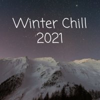VA - Winter Chill 2021 (2021) MP3