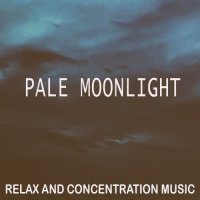 VA - Pale Moonlight [Relax and Concentration Music] (2021) MP3