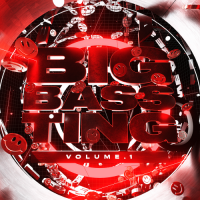 VA - BIG BASS TING VOL. 1 (2021) MP3