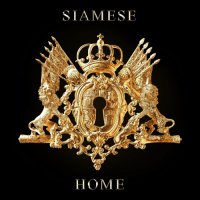 Siamese - Home (2021) MP3