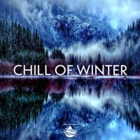 VA - Chill of Winter (2021) MP3