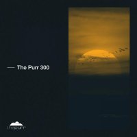 VA - The Purr 300 (2021) MP3