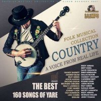 VA - A Voice From Real Life: Country Folk Music (2021) MP3