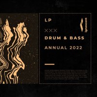 VA - Ignescent Drum & Bass Annual 2022 (2021) MP3