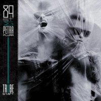 89s & Petra Flurr - Tr&#252;be Stadt (2021) MP3