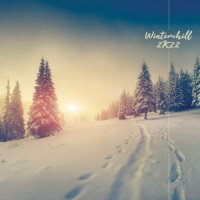 VA - Winterchill 2k22 (2021) MP3