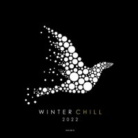 VA - Winter Chill 2022 (2021) MP3