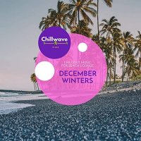 VA - December Winters: Chillout Music for Beach Lounge (2021) MP3