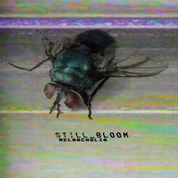 Still Bloom (Still Bloom) - Discography [7CD] (2017-2022) MP3