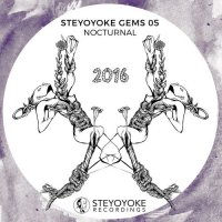 VA - Steyoyoke Gems Nocturnal 05 (2016) MP3