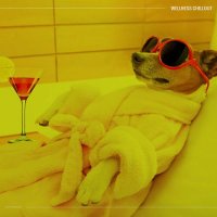 VA - Wellness Chillout (2021) MP3