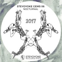 VA - Steyoyoke Gems Nocturnal 06 (2017) MP3