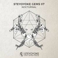 VA - Steyoyoke Gems Nocturnal 07 (2018) MP3