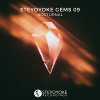 VA - Steyoyoke Gems Nocturnal 09 (2020) MP3