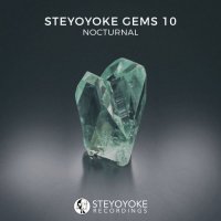 VA - Steyoyoke Gems Nocturnal 10 (2021) MP3