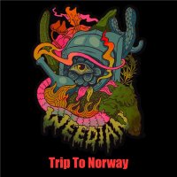 VA - Weedian - Trip to Norway (2021) MP3