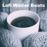 VA - Lofi Winter Beats (2022) MP3