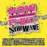 VA - NOW That's What I Call Punk & New Wave [4CD] (2022) MP3