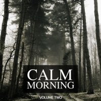 VA - Calm Morning, Vol. 2 (2022) MP3