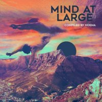 VA - Mind at Large [Compiled by Noema] (2021) MP3