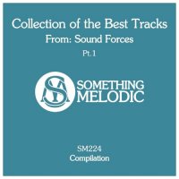 VA - Collection of the Best Tracks From: Sound Forces, Pt. 1 (2021) MP3