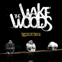 The Wake Woods - Treselectrica (2021) MP3