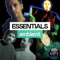 VA - Ambient Essentials (2022) MP3