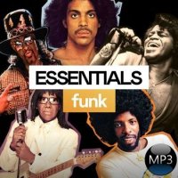 VA - Funk Essentials (2022) MP3