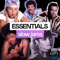 VA - Slow Jam Essentials (2022) MP3