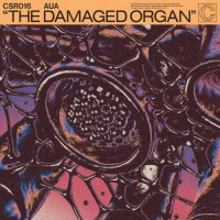 Aua - The Damaged Organ (2022) MP3